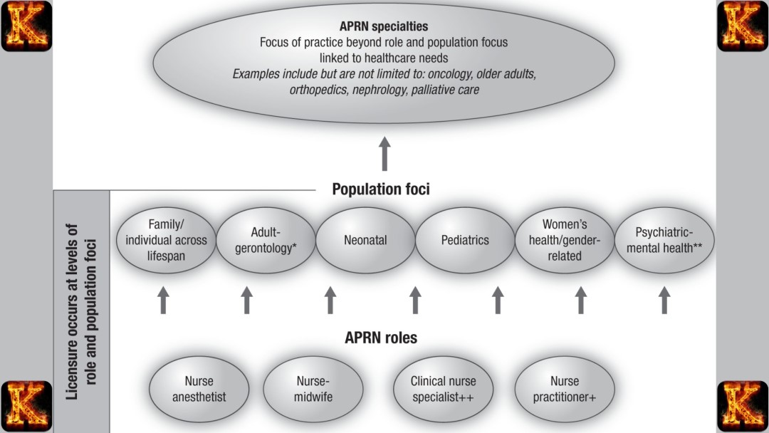APRN Board of Nursing Regulations Essay