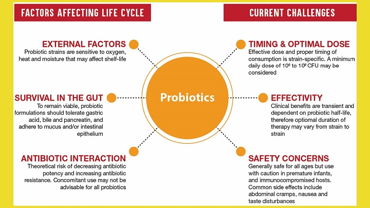 The Effects of Probiotics in Preventing Infection