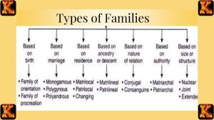 Types of Family Structure: Exploring Diverse Forms of Family Units