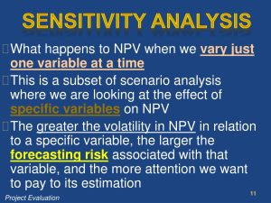 NPV Risk Modelling