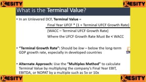 The Role of Terminal Value in Financial Modeling