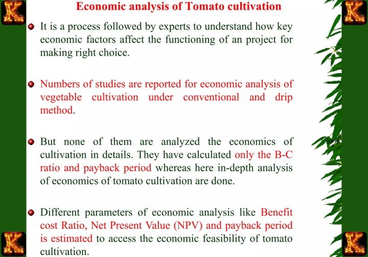 Best Economics Essay Writing Services 2026