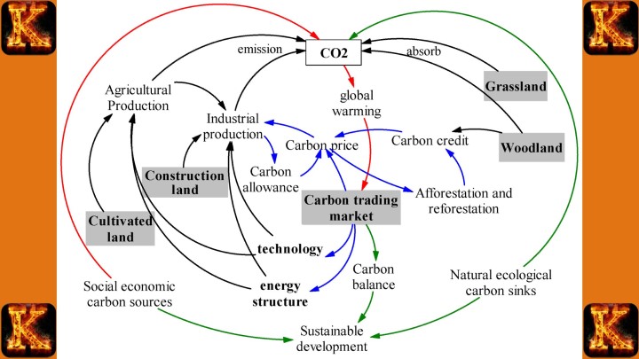 System Dynamics in Carbon Credit Trading