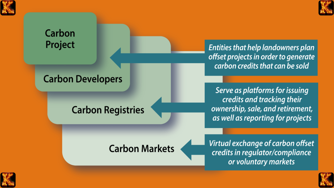 System Dynamics in Carbon Credit Trading