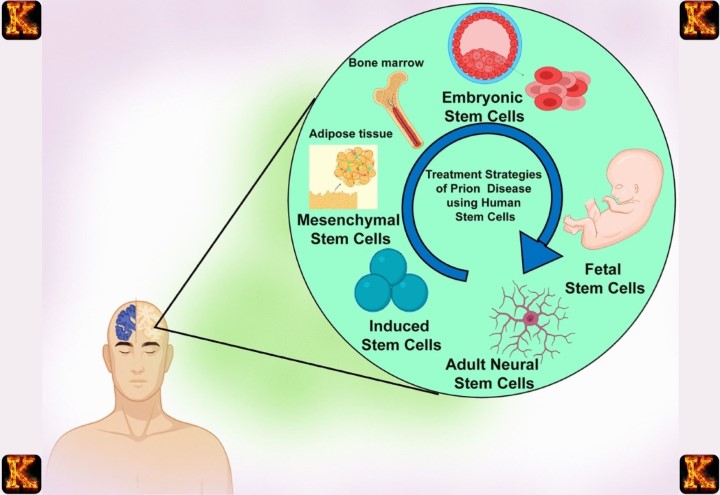 Prions as Nontraditional Infectious Agents