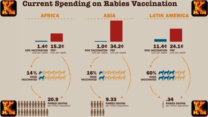 human rabies cases globally