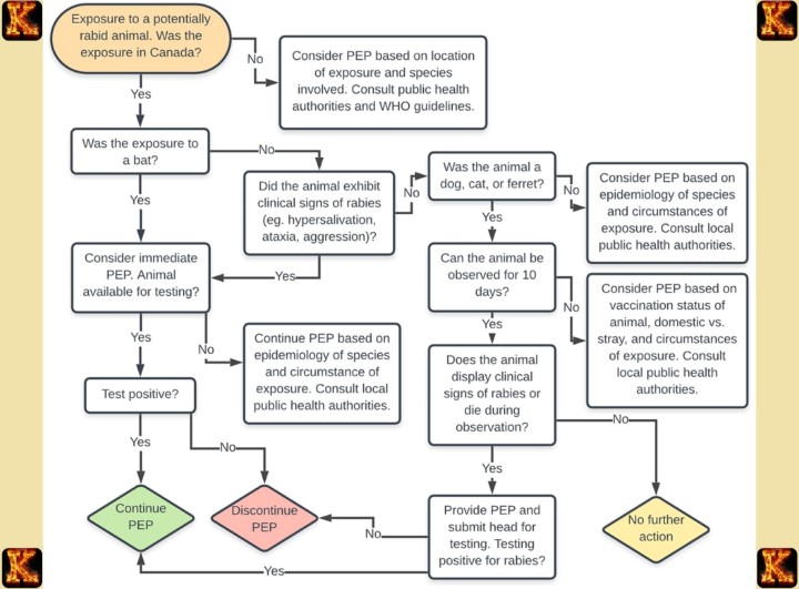Neurotropic Mechanisms in Rabies Pathogenesis