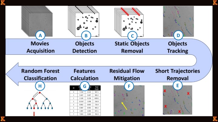 Methods Used to Measure Microbial Growth