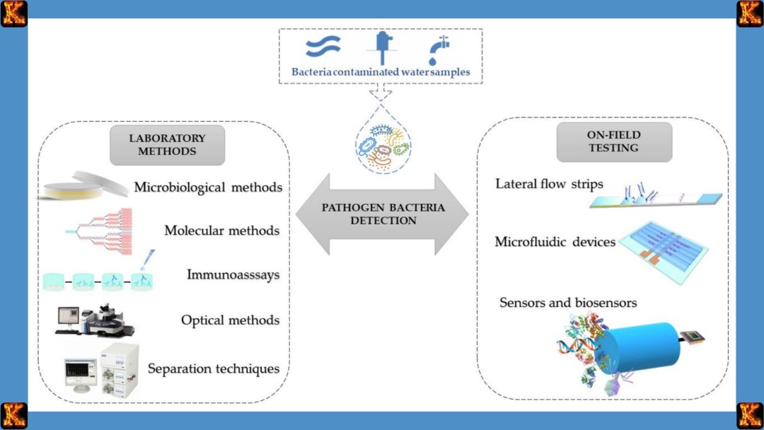 Plate Count and the Concept of Colony Forming Units